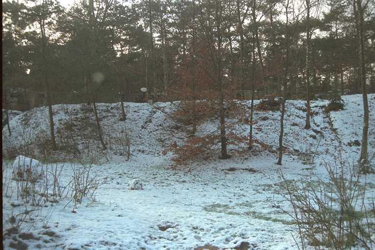 Erperheide