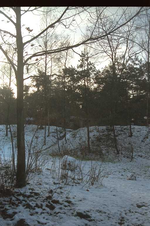Erperheide