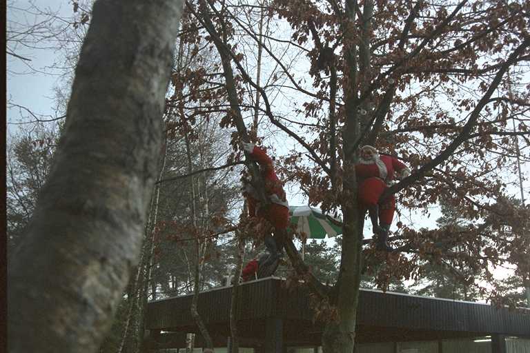 Erperheide
