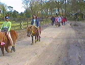 Ponypark Collendoorn, spring 2001