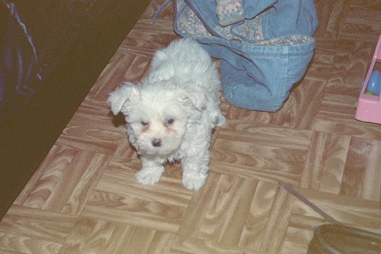 img0007.pcd.jpg