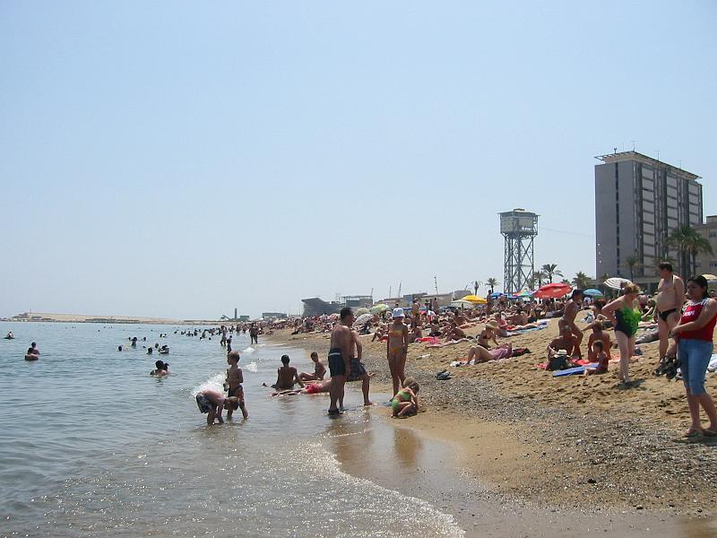 IMG_0587.jpg
