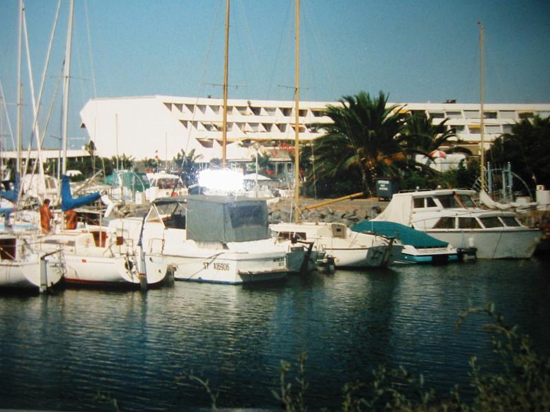 5431img_0118.jpg