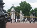 IMG_0954