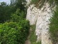 IMG_1085