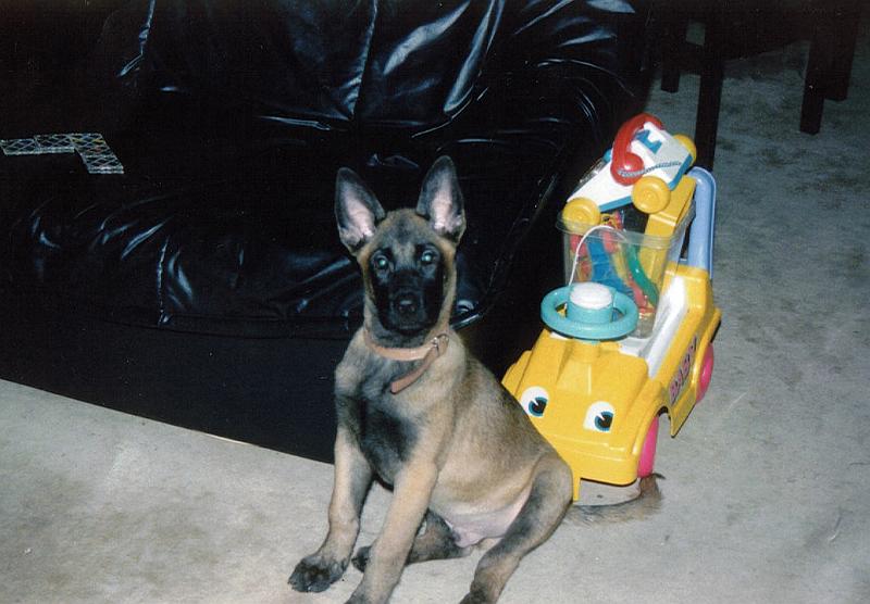 scan2.jpg