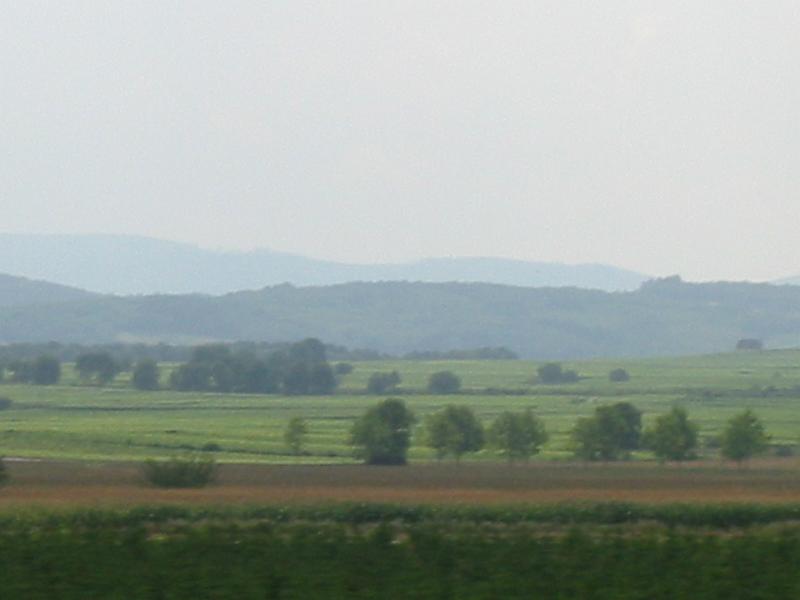 img_0710.jpg