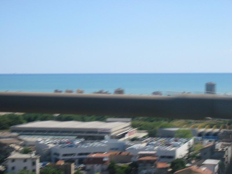 img_0795.jpg