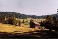 oostenrijk_1981