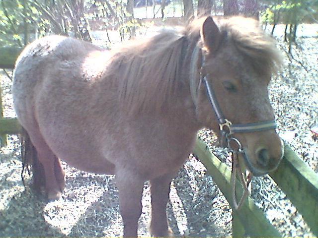 33dc0041.jpg