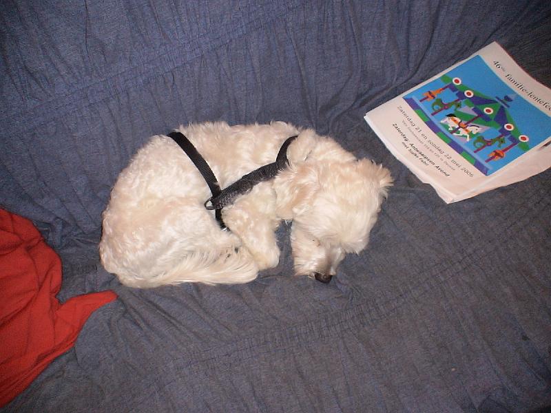 dsc00008.jpg