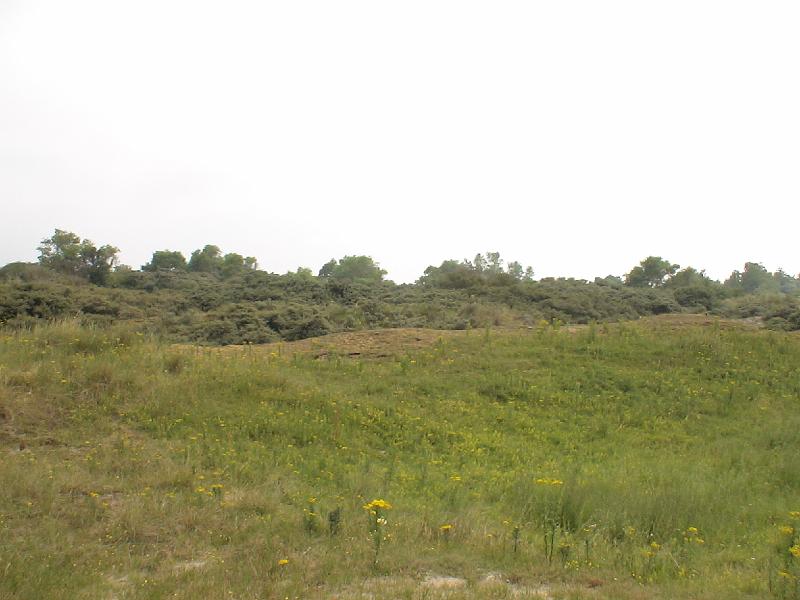 dsc00024.jpg