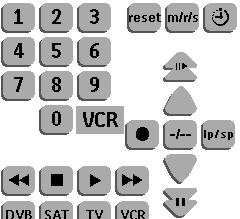 Panel 11